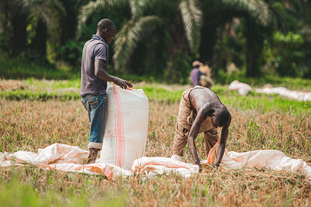 Two men working in a green field, handling sacks on a sunny day.