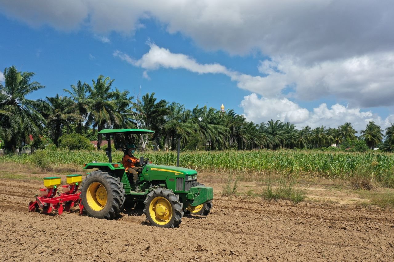 A farmer operates a tractor in a rural field with palm trees in Indonesia, showcasing agricultural practices.